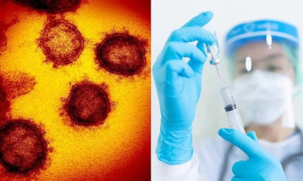 Κορονοϊός: Αυστραλοί ερευνητές υποστηρίζουν ότι βρήκαν το φάρμακο